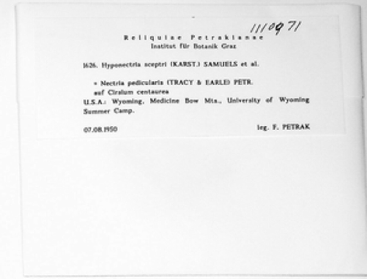 Charonectria image